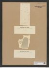 Diatomeae indet. Zeichnungen Sammlung Grunow Nr. 8978 (NHMW-BOT-W0378673)